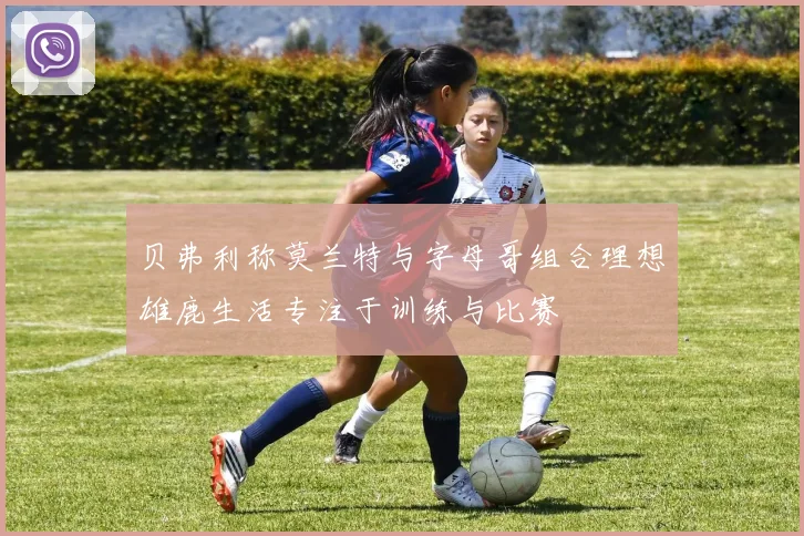 贝弗利称莫兰特与字母哥组合理想雄鹿生活专注于训练与比赛